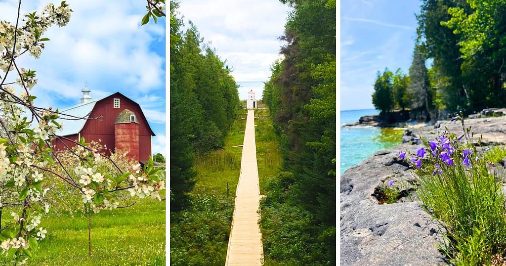 barn, flower blossoms, walking path, lake, shore