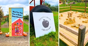 measuring tape and cartoon barn, Honey Creek Orchard sign, wooden blocks