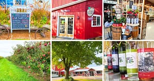 chalkboard, store entrance, store interior, apple orchard, wine bottles