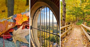 fall leaves, Wisconsin, autumn colors
