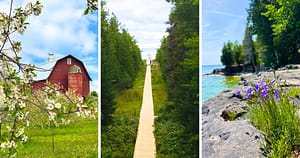 barn, flower blossoms, walking path, lake, shore