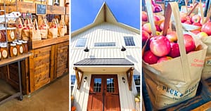 country store, white barn, bags of apples