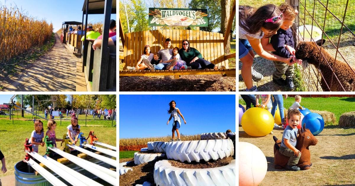 tractor ride, family in oversized chair, goat, children, tractor tires, child riding a toy goat