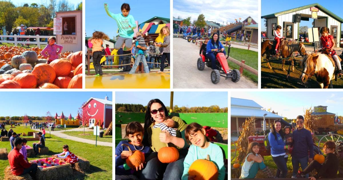 pumpkins, kids jumping, peddle cart, ponies, red barn