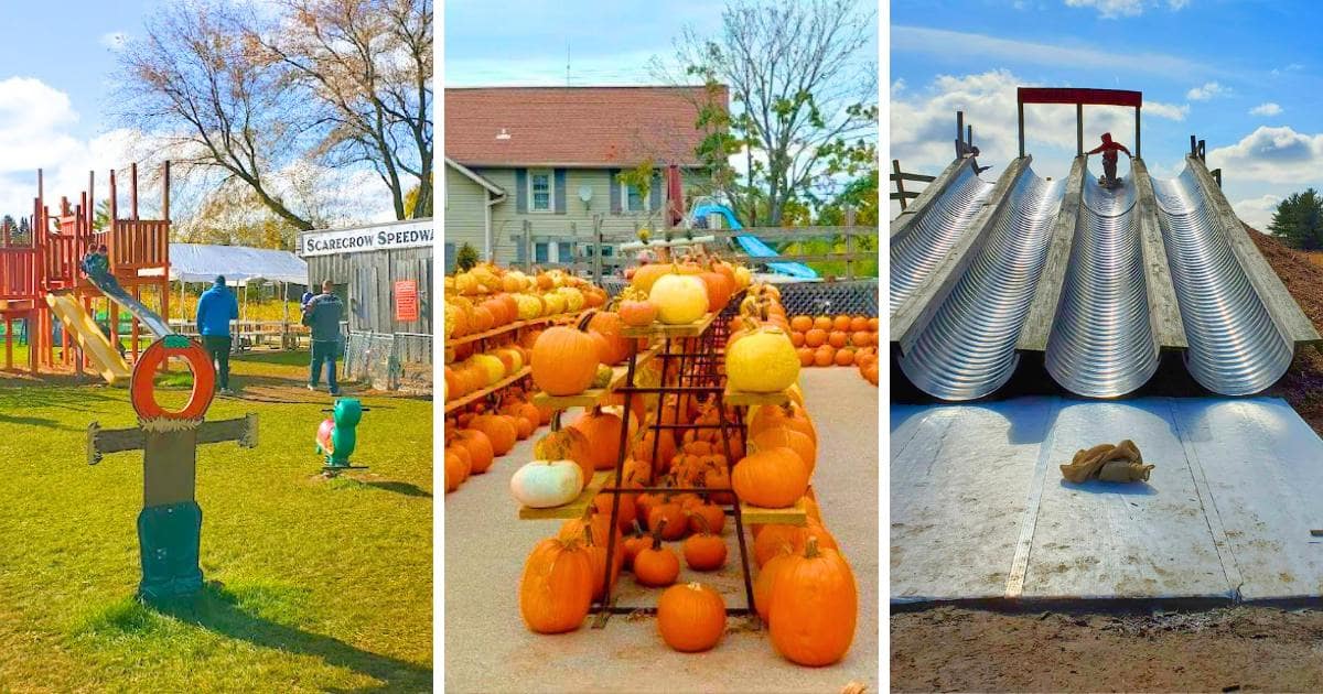 playground, pumpkins, slide