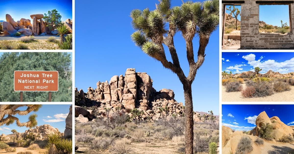 rock formations, Joshua Tree National Park sign, Joshua trees