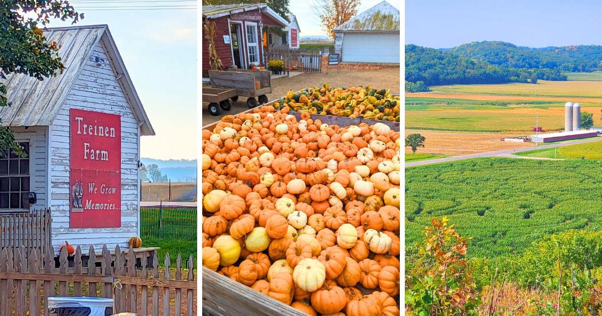 white building, many pumpkins, farmland
