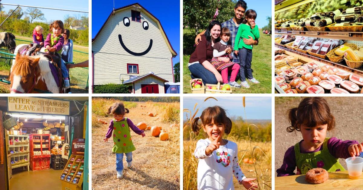 pony, smiley face barn, smiling family, meats, store, child in pumpkin patch, doughnut