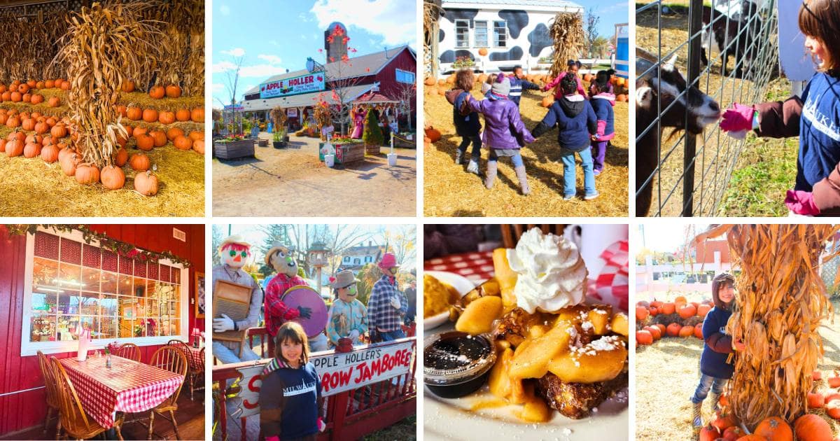 pumpkins, Apple Holler sign, children playing, breakfast