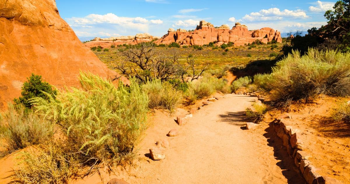 a trail through sandy and rocky landscape