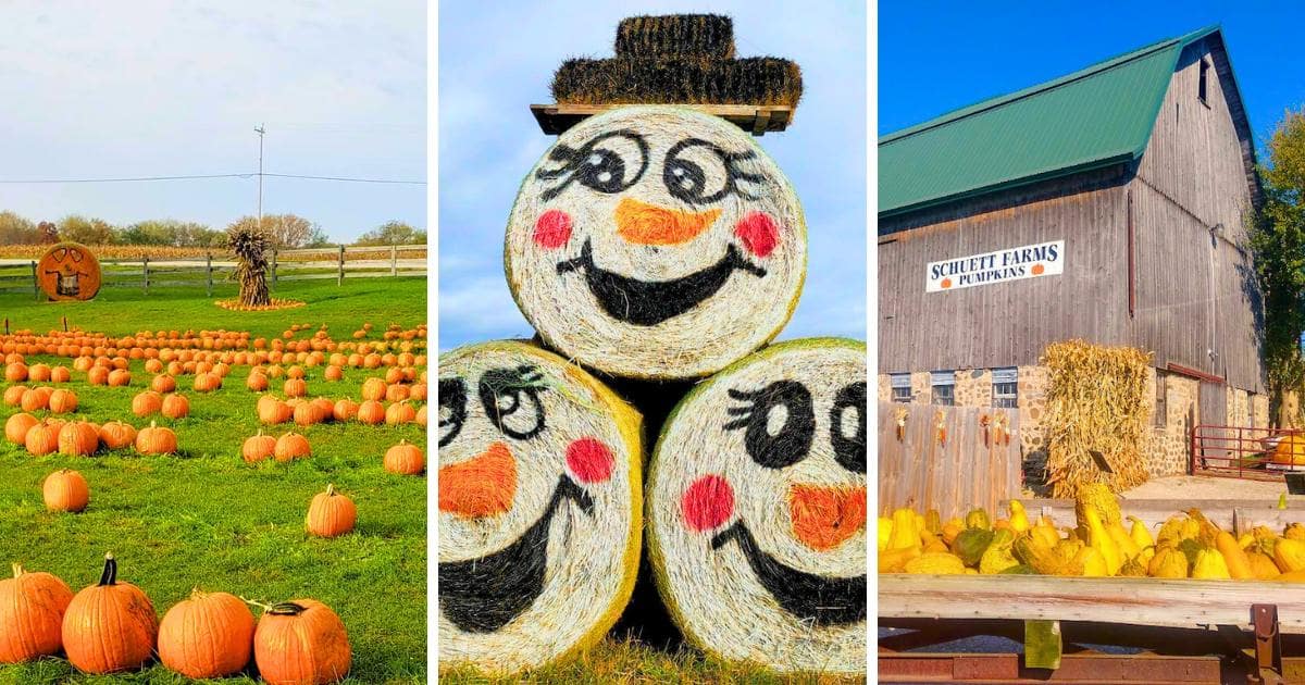 pumpkins, painted hay bales, barn